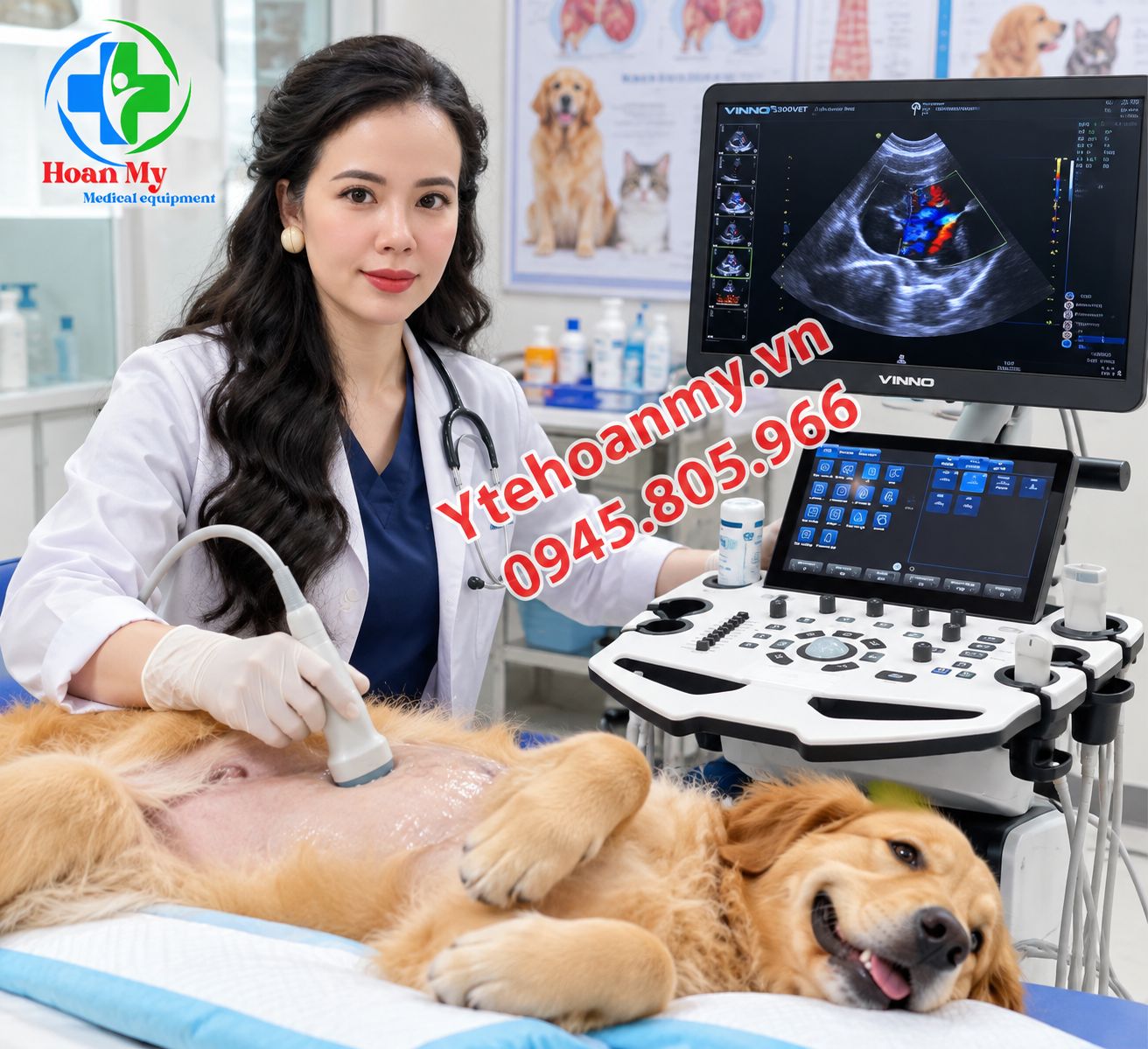 Bảng gi&aacute; m&aacute;y si&ecirc;u &acirc;m th&uacute; y mới nhất 2026 - Từ phổ th&ocirc;ng đến cao cấp